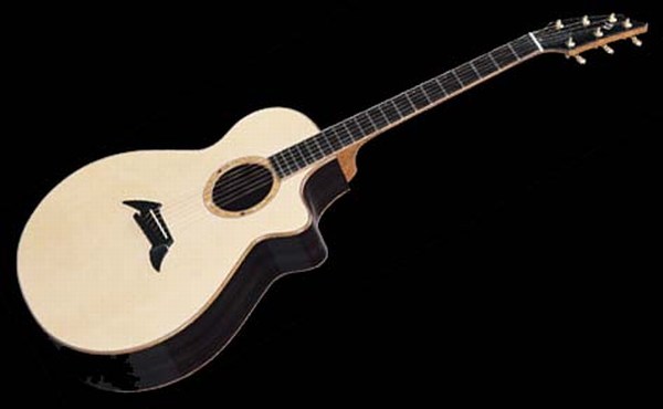 Breedlove-Gerhard-Exotic.jpg