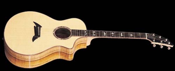 BREEDLOVE Guitars - Custom Acoustics - Synergy Guitar Boutique