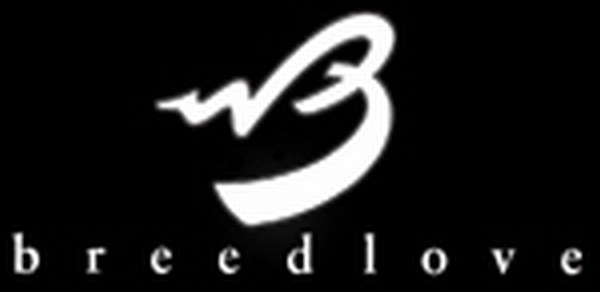 BREEDLOVE Guitars - Custom Acoustics - Synergy Guitar Boutique
