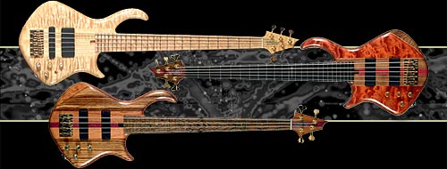 Warrior_Signature_Bass.jpg (500x190 -- 24972 bytes)